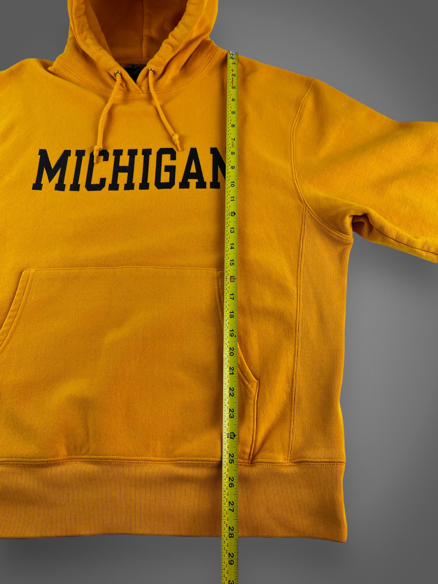 00s Champion U of Michigan hooded sweatshirt fits XL
