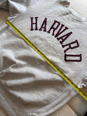 Deadstock 90s Champion Harvard reverse weave XL