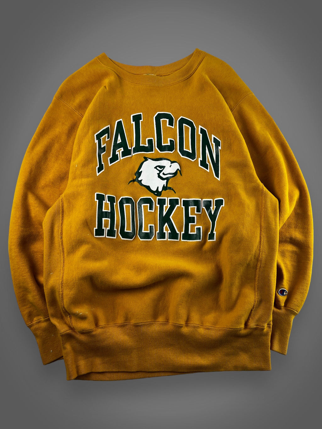 90s Champion Fitchburg Falcon reverse weave sweatshirt L