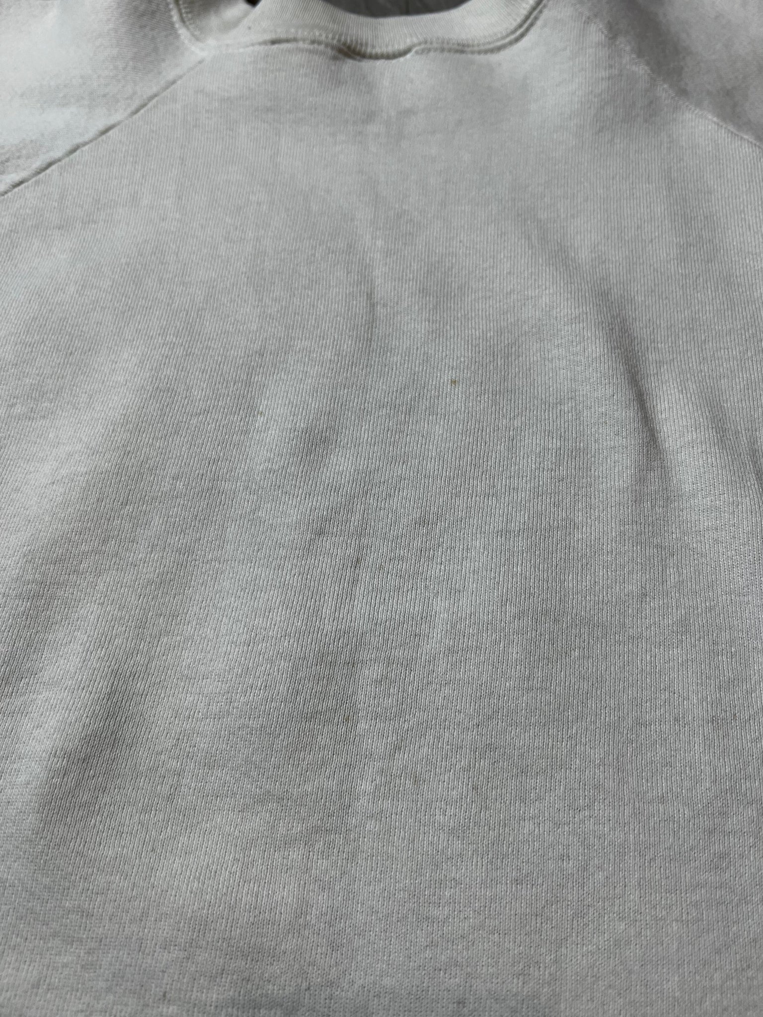 90’s Henry David Thoreau sweatshirt L/XL